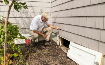 How to Prevent Wood Rot in Your Cellar or Crawl Space